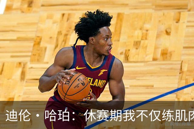 迪伦·哈珀：休赛期我不仅练肌肉，更做了技术上的升级
